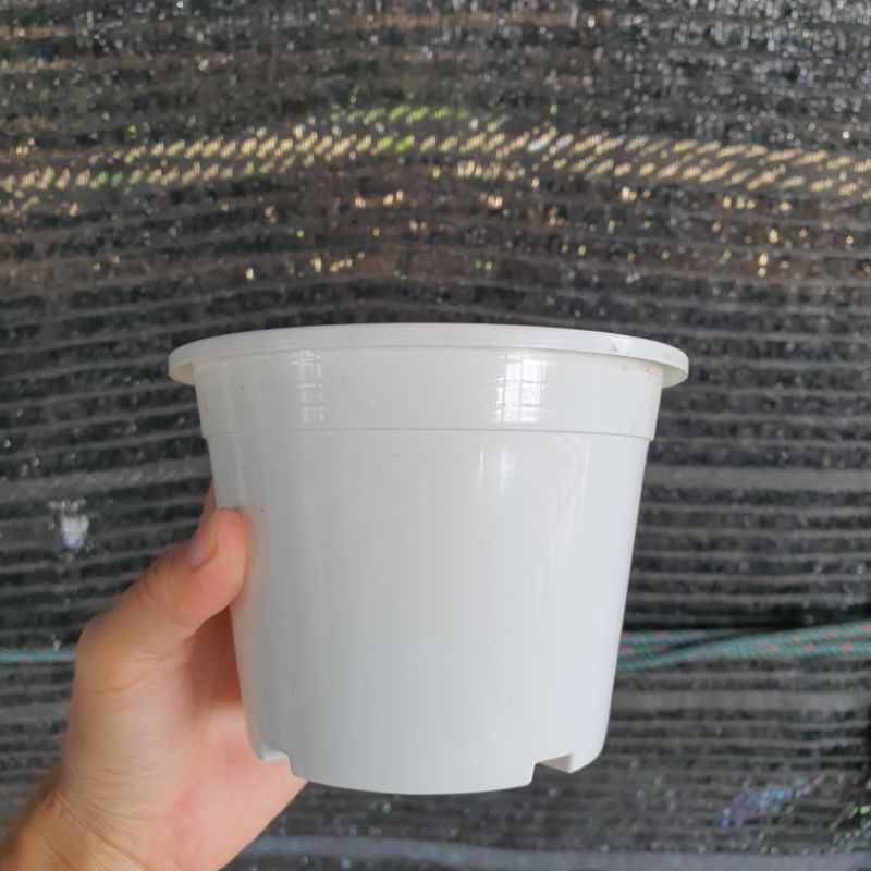 กระถางพลาสติกสีขาว 5 นิ้ว – Plastic Pot White