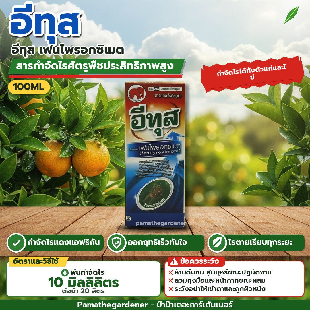อีทุส (Ethus) ยากำจัดแมลง เพลี้ย หนอน แมลงปากดูด 100ML