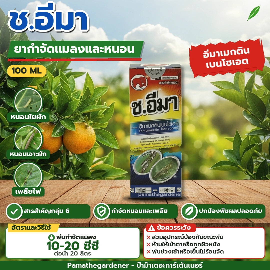 Cho-Ema (Cho-Ema Emamectin Benzoate 100ml) Emamectin Benzoate Racun Serangga Ulat Kumba Ulat Pengorek Kutu Thrips 100 ML
