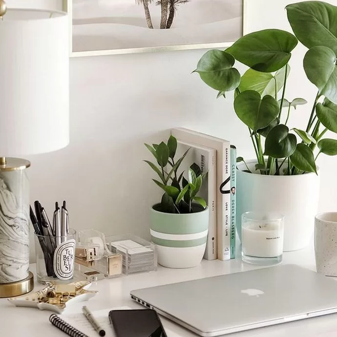 Image Slider