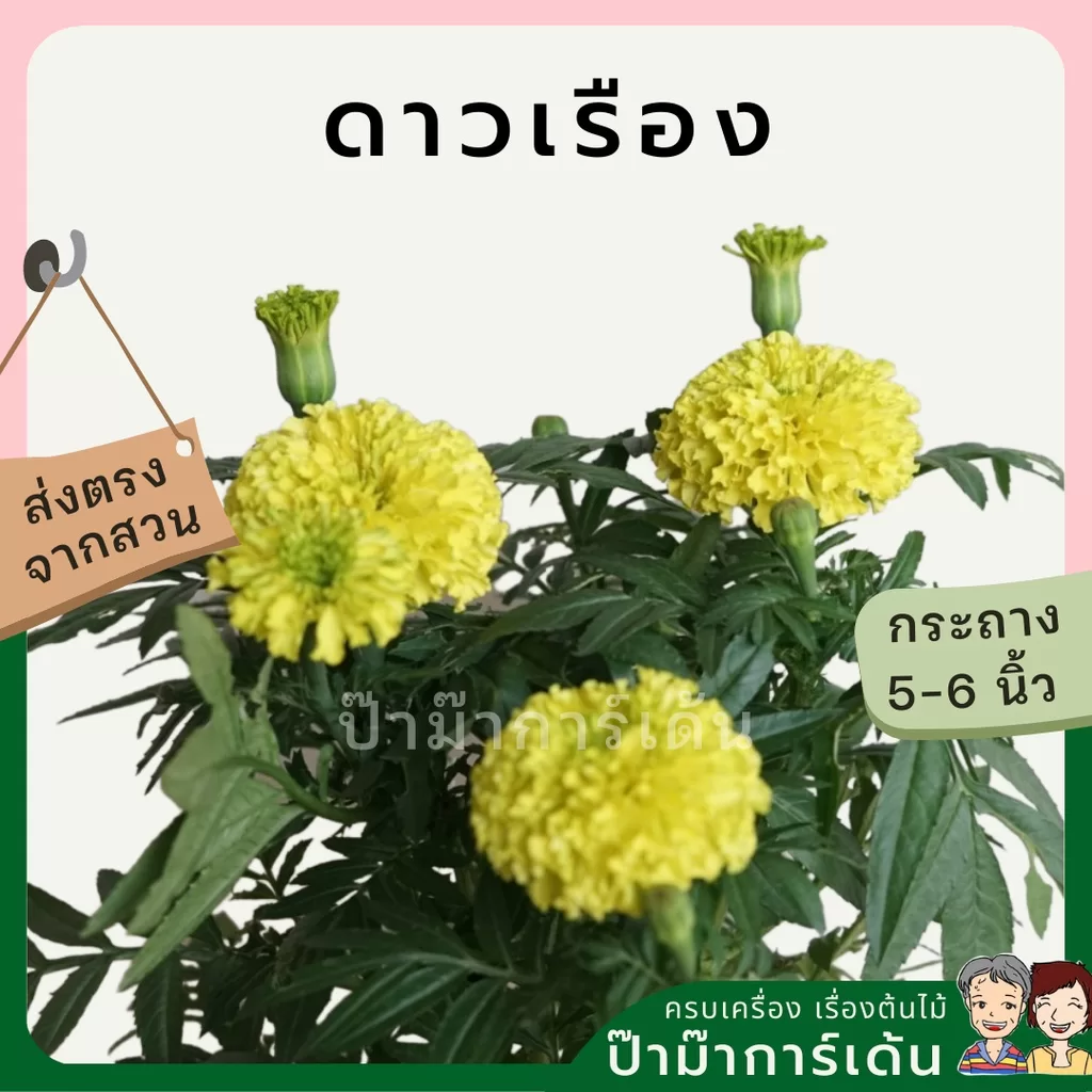 ginee_20240306160933418_8944926118.jpeg
