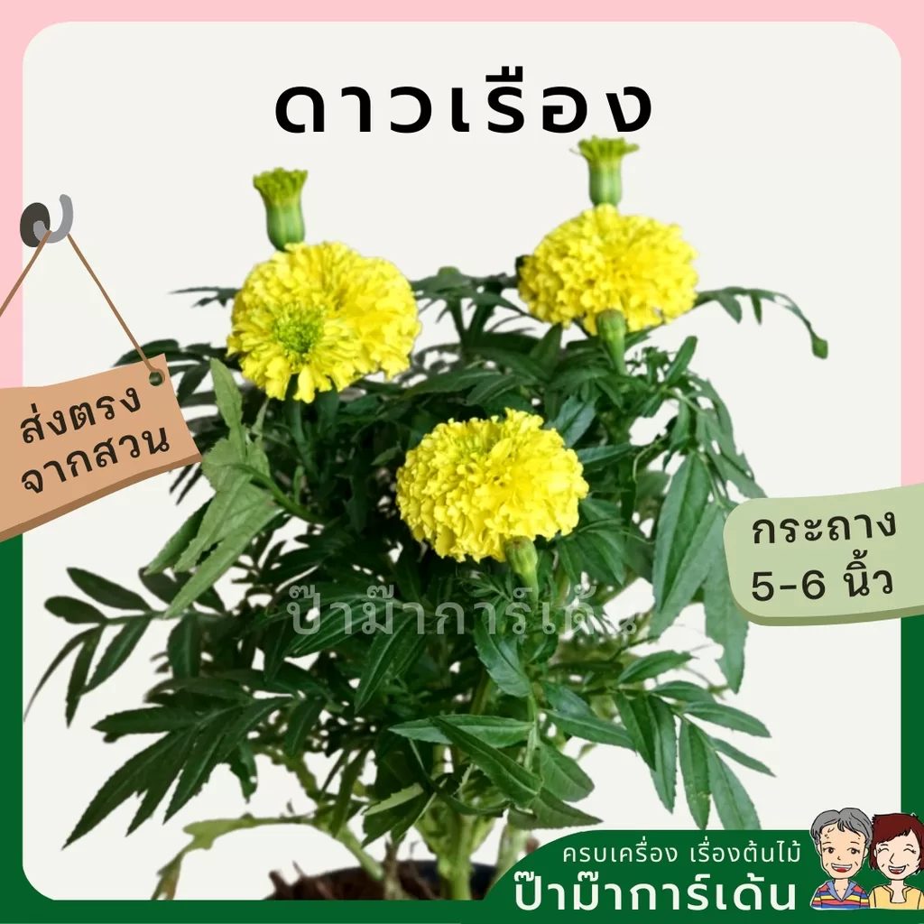 ginee_20240306160933469_2606046787.jpeg
