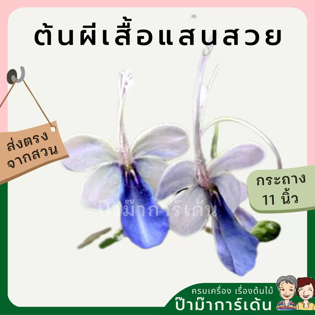 ginee_20240306201255978_1570370557.jpeg