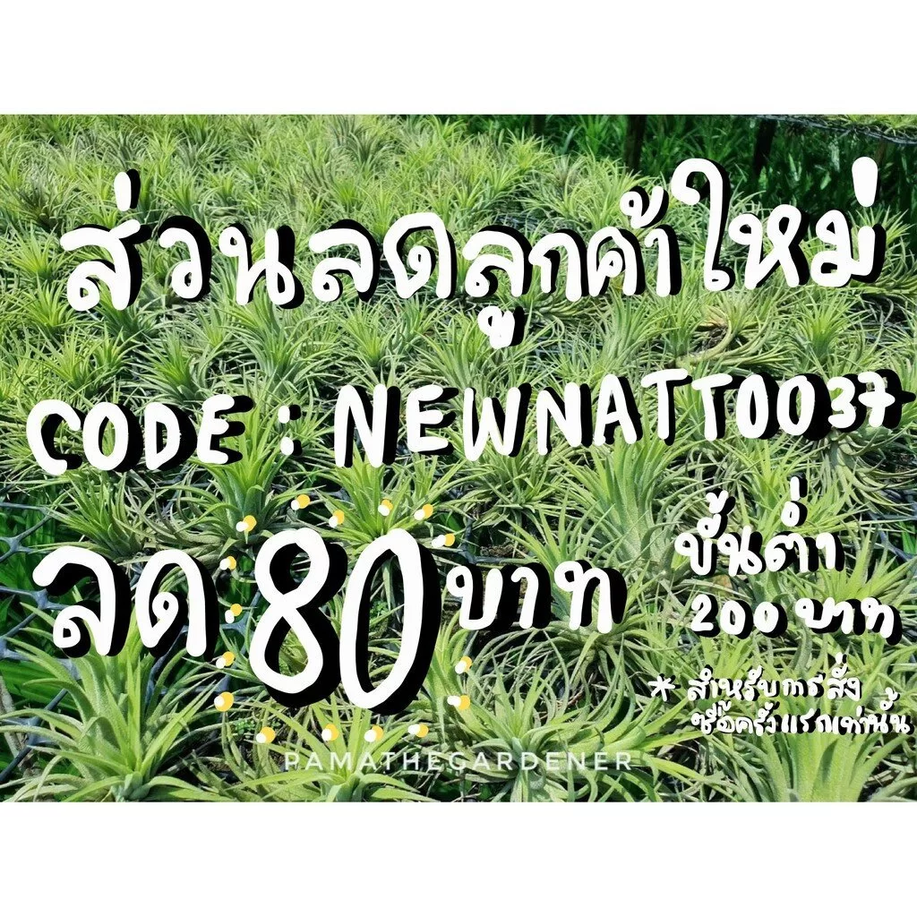 ginee_20240312120852758_7641491429.jpeg
