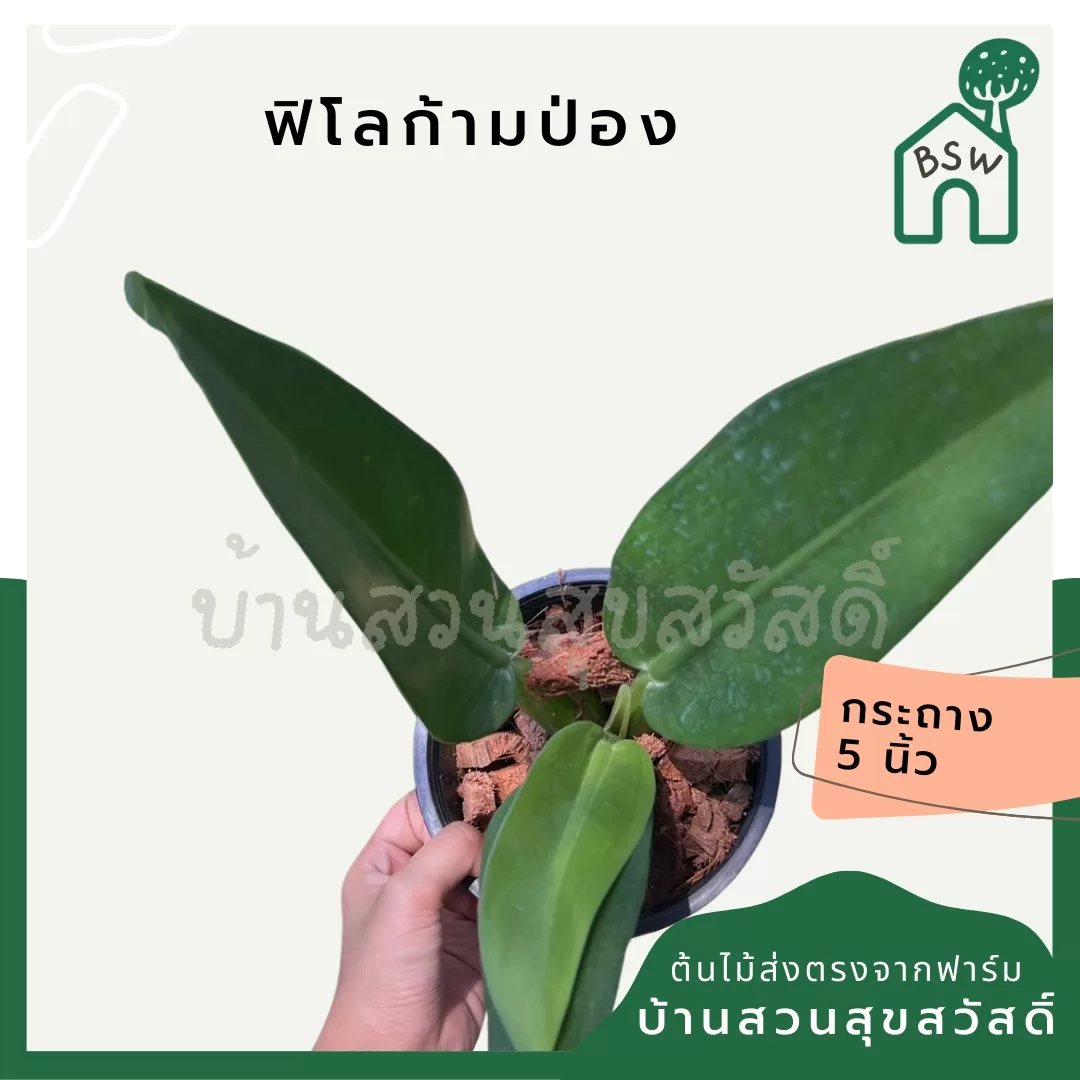 ginee_20240612235244639_3963625986.jpg