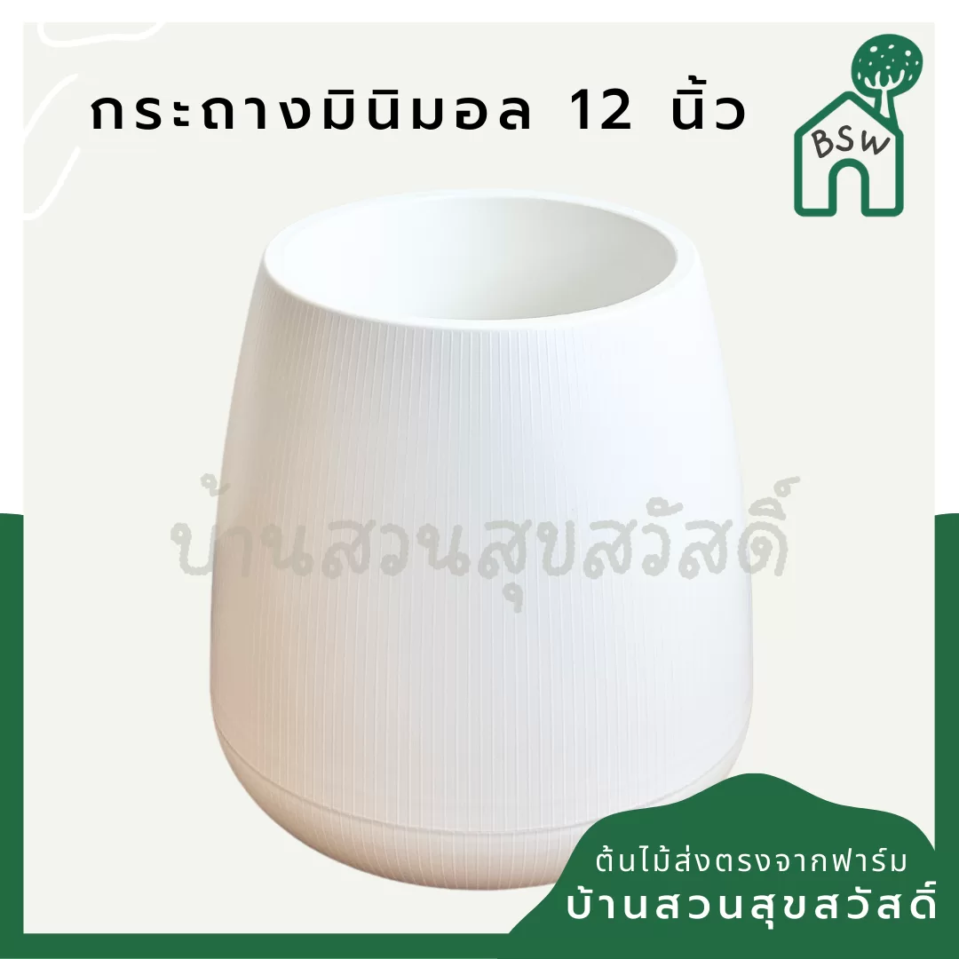 ginee_20241013105443689_5185855348.png