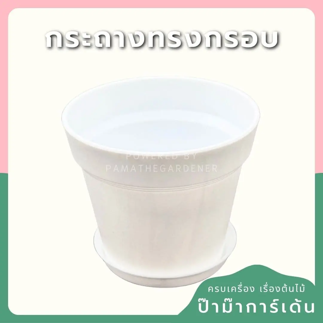 ginee_20250705223559770_0836998314.jpg