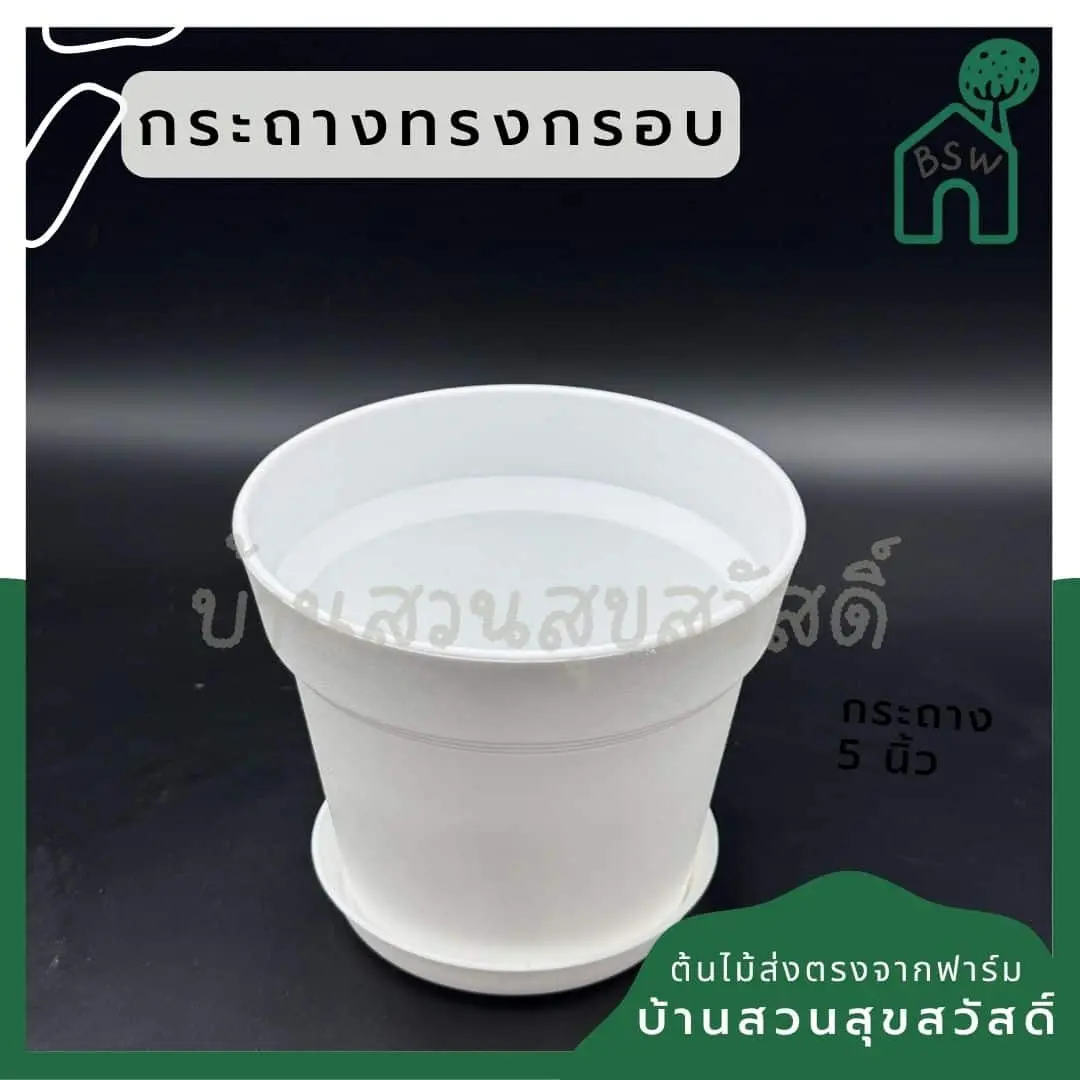ginee_20250705223559840_6995529205.jpg